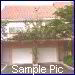 Mesquite Apartments and Rentals